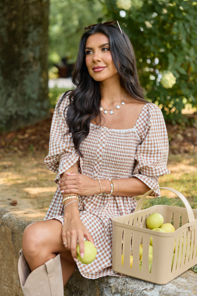 Tailored Grace Brown Gingham Mini Dress