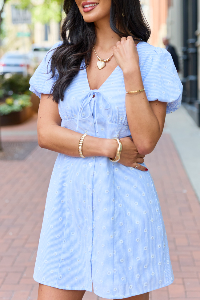 Pink Lily Jessica Blue Daisy Dress