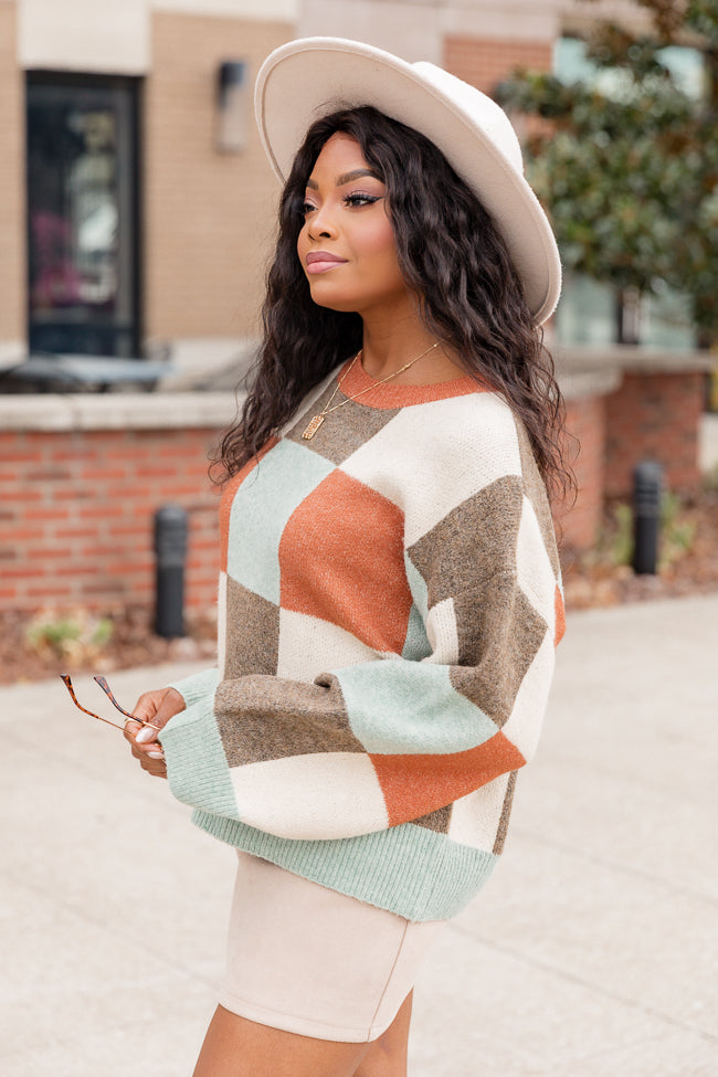 Checkmate Brown Colorblock Sweater