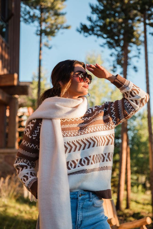 Extended Stay Brown Printed Crew Neck Sweater