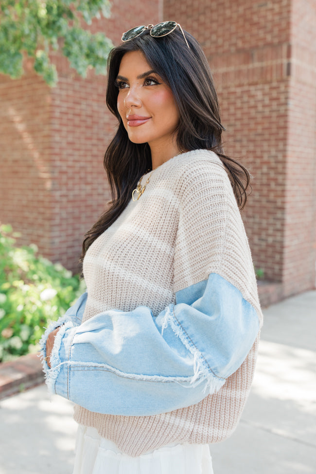 Day To Day Taupe Denim Sleeve Striped Sweater