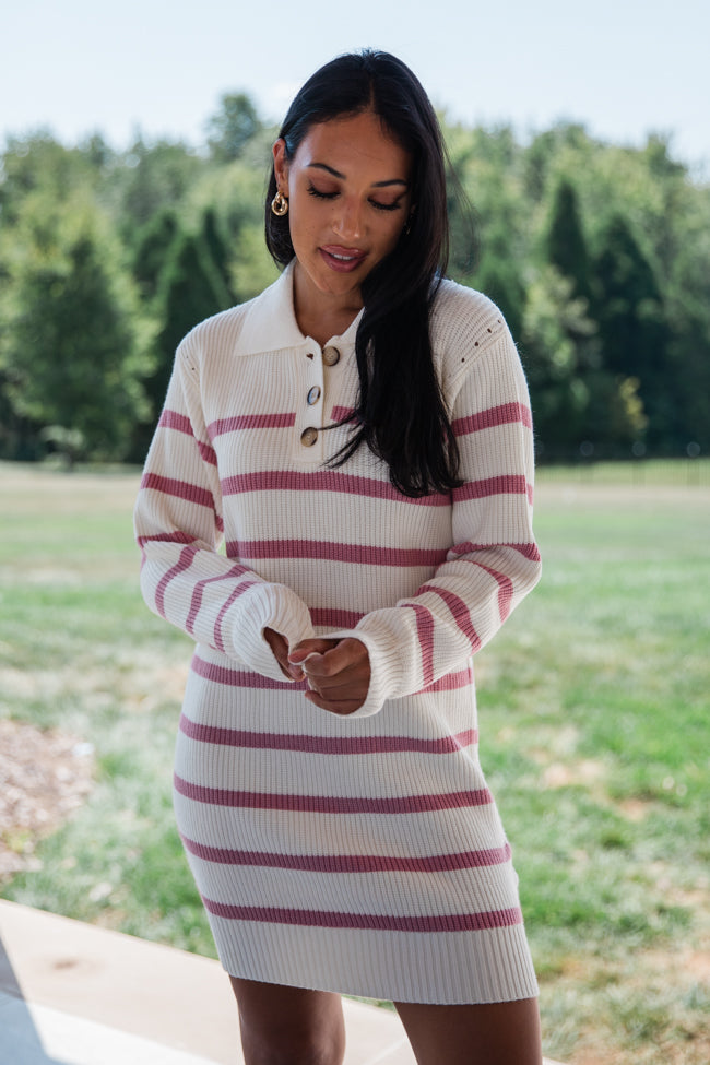 Time Will Tell Striped Sweater Dress FINAL SALE Pink Lily