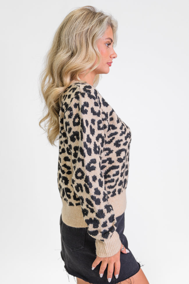 Fierce Feelings V-Neck Leopard Sweater